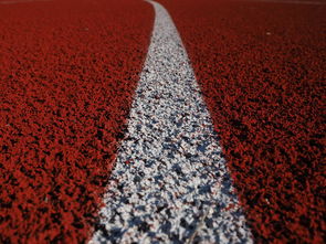 乐鱼体育登录-田径项目专项训练成效显著，田径专项体能训练